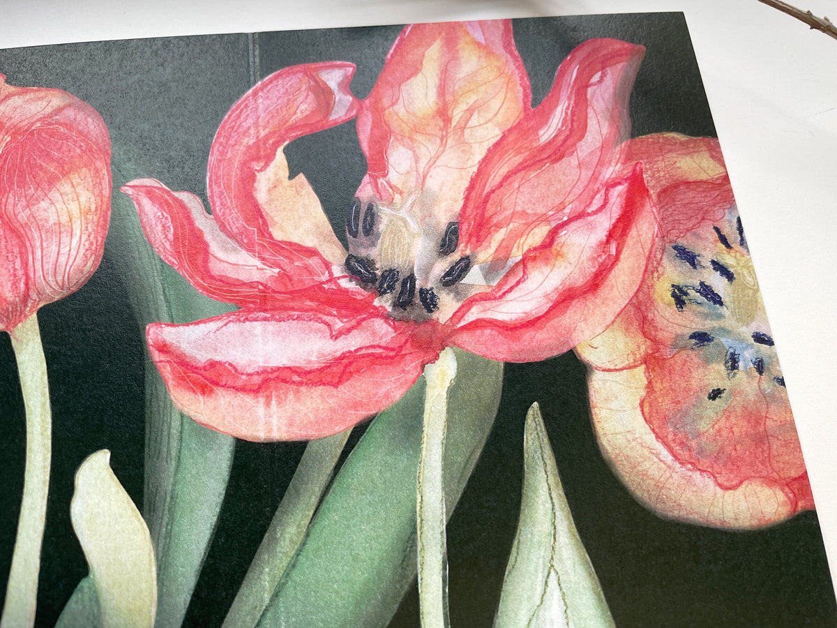 Klappkarte "Tulpen Pracht" – Ansicht 5