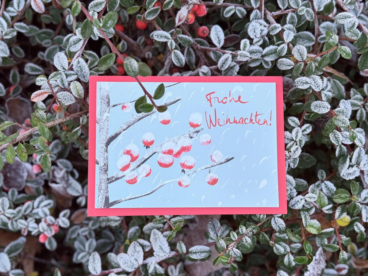 Weihnachtskarten "Schneebedeckte Beeren" – Ansicht 1