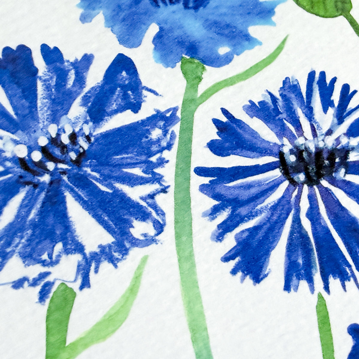 Grußkarte "Kornblumen" – Ansicht 4