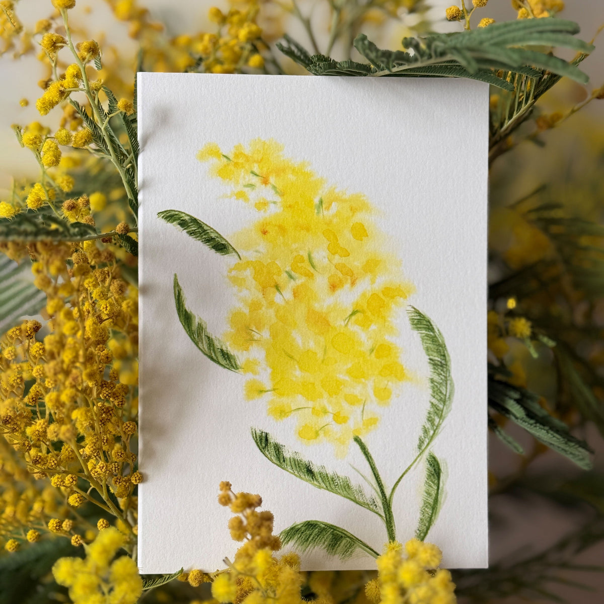 Klappkarte "Mimose" – Ansicht 1