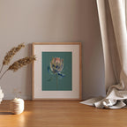 Protea – Ansicht 2
