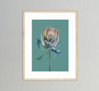 Protea – Ansicht 4