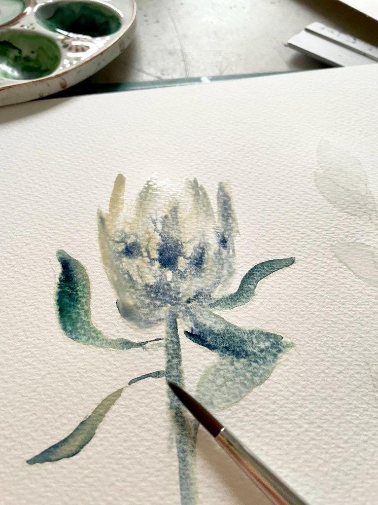 Protea – Ansicht 6