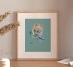 Protea – Ansicht 1