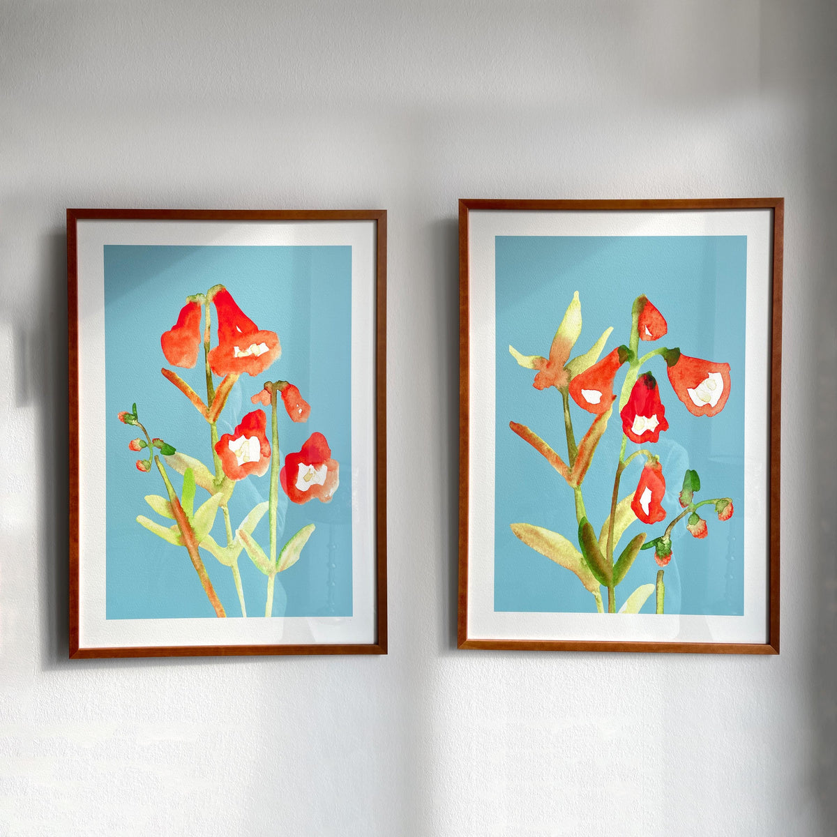 Rote Wildblumen auf Türkis – Ansicht 1