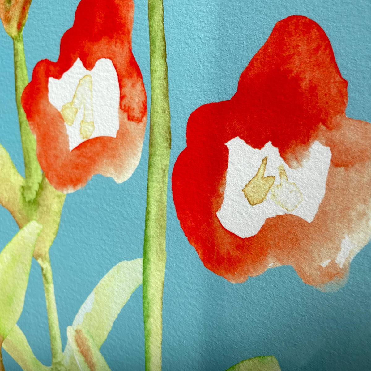 Rote Wildblumen auf Türkis – Ansicht 5