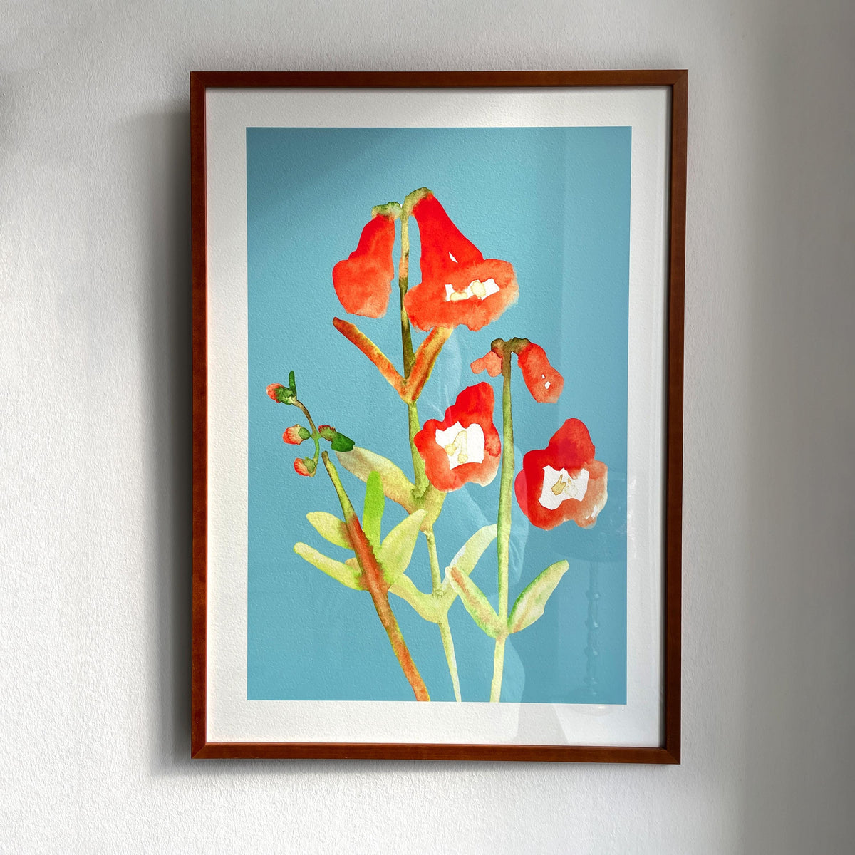 Rote Wildblumen auf Türkis – Ansicht 2