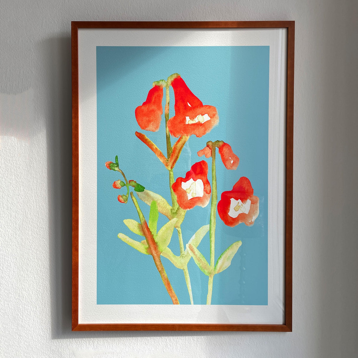 Rote Wildblumen auf Türkis – Ansicht 6