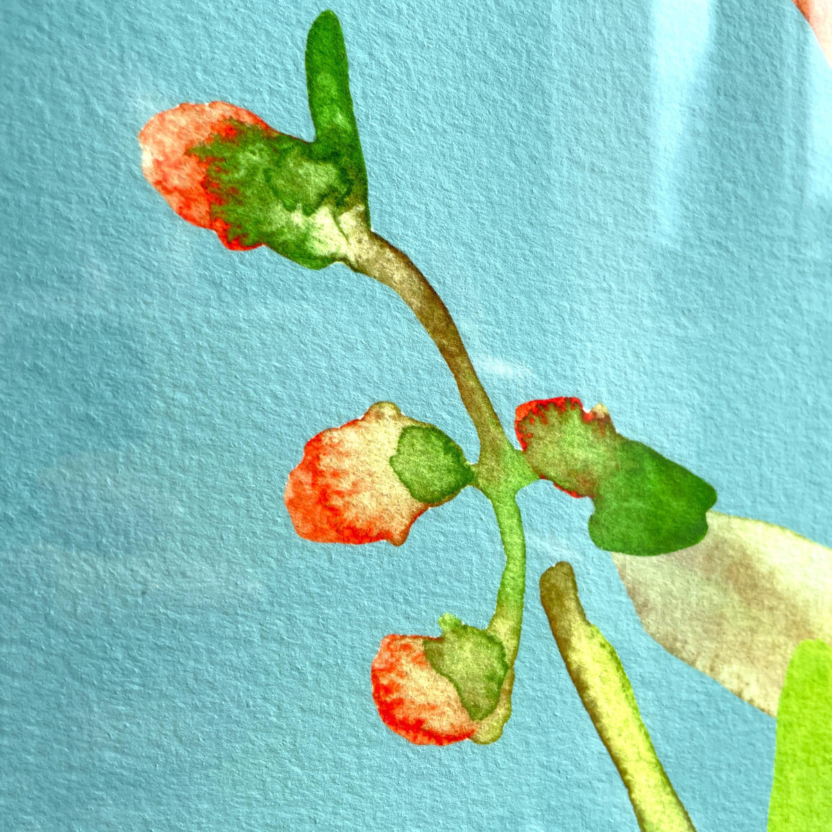 Rote Wildblumen auf Türkis – Ansicht 4