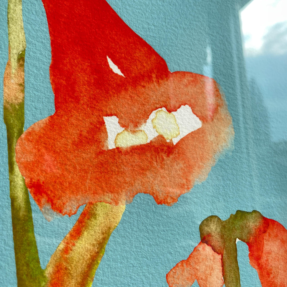 Rote Wildblumen auf Türkis – Ansicht 7