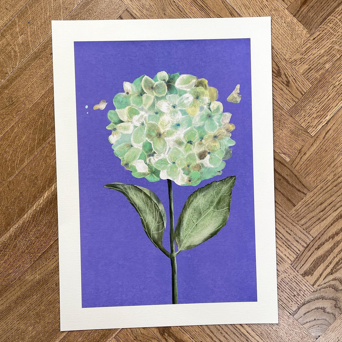 Hortensie – Ansicht 2